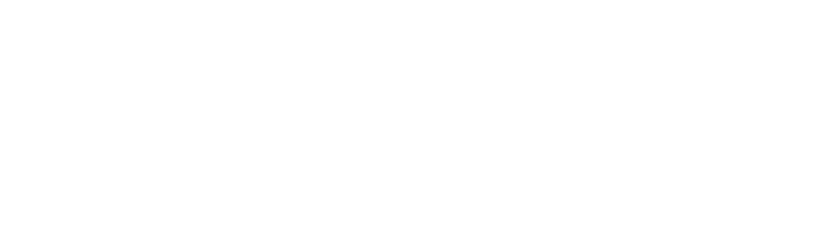 Platinum Service – Montaggi meccanici